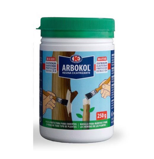 Arbokol Élagage Guérison