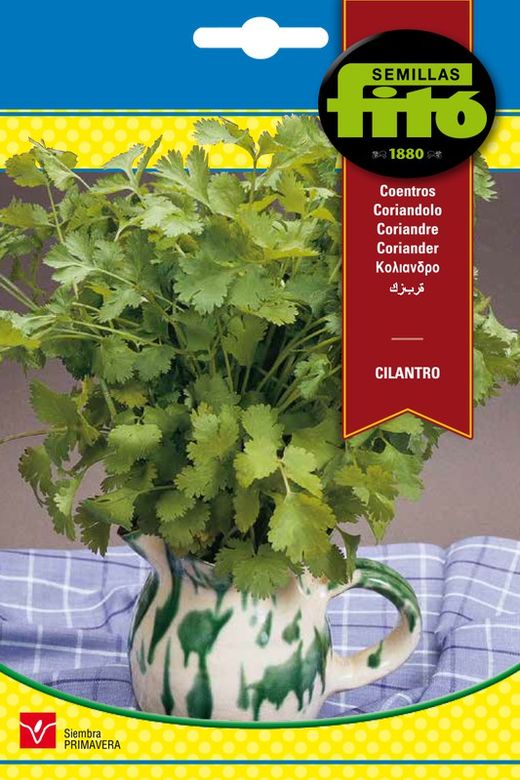 Sementes de coentro da marca Fito