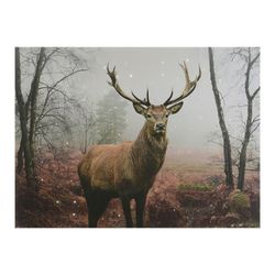 Imagem Led Modelo Rena 58x4x38cm