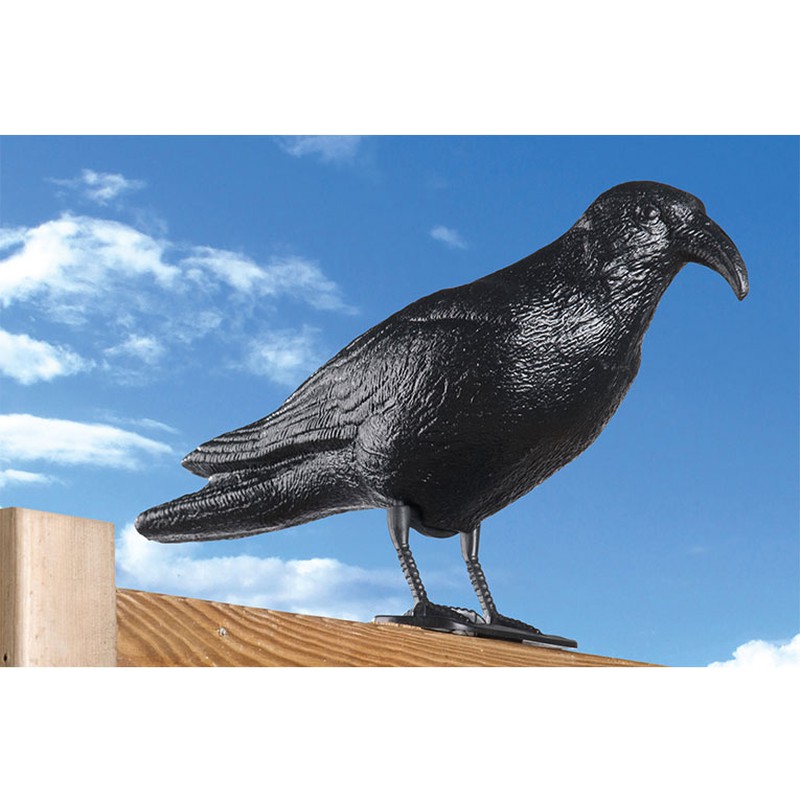 2pcs，Corbeau Répulsif Pigeon en Plastique，Répulsif Oiseaux Naturel  Antiparasitaire，noir