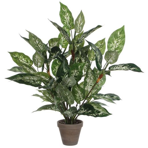 Dieffenbachia pvc com vaso cinza