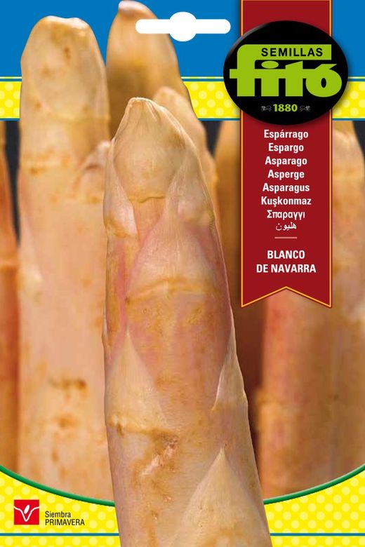 Graines d'Asperges Blanches de Navarre de la marque Fito