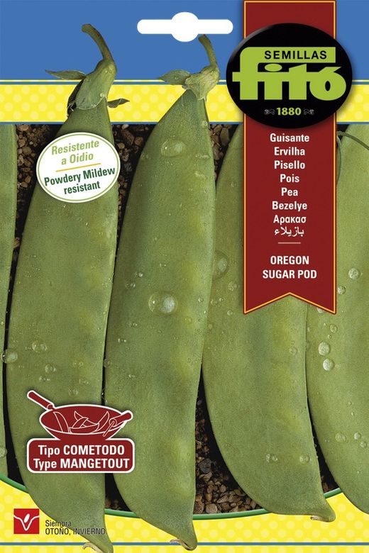Sementes de ervilha Fito Brand Oregon Sugar Pod