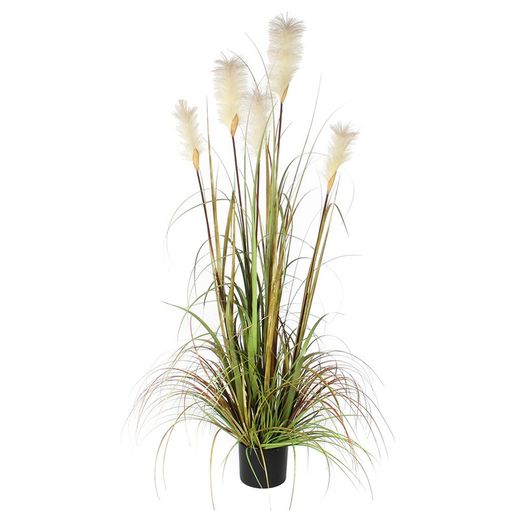 Grama dos Pampas Com Vaso Ø70x150cm