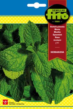 Sementes de hortelã-pimenta da marca Fito