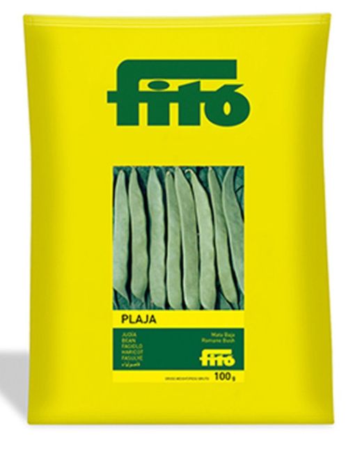 Sementes de feijão Bush-Plaja Romano da marca Fito