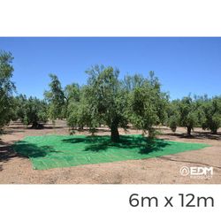 Manta para Colheita de Frutas 6x12m Cor Verde