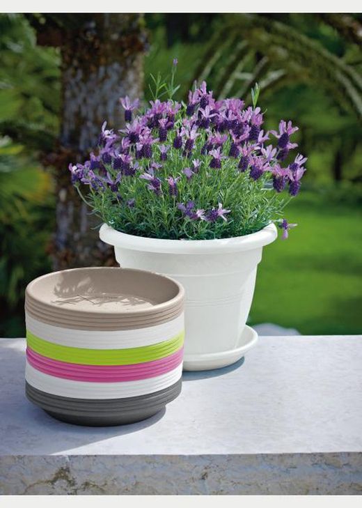 Placa Medea 24 Cm. Varias cores