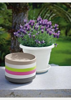 Medea Plato 28 Cm. Varios Colores