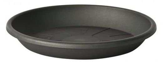 Assiette Médée 28 Cm. Couleurs varièes