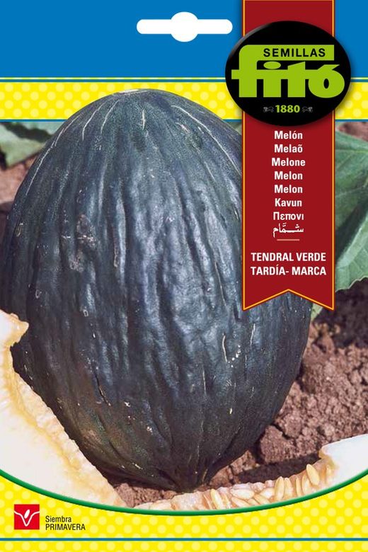Semillas de Melón Tendral Verde Tardío - Marca de marca Fito