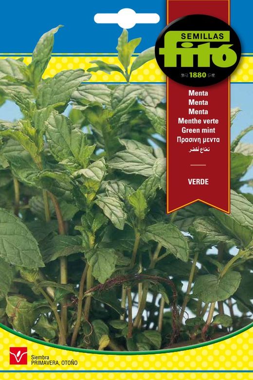 Graines de menthe verte de la marque Fito