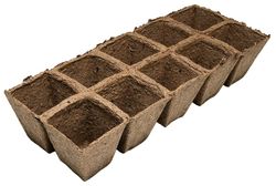 Pacote de 3 bandejas de 10 potes de turfa 6x6