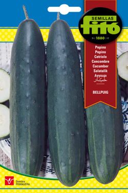 Sementes de pepino Bellpuig da marca Fito