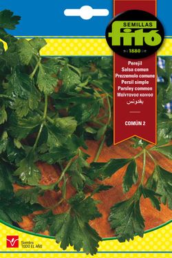 Graines de Persil Commun de Smooth Leaf de marque Fito