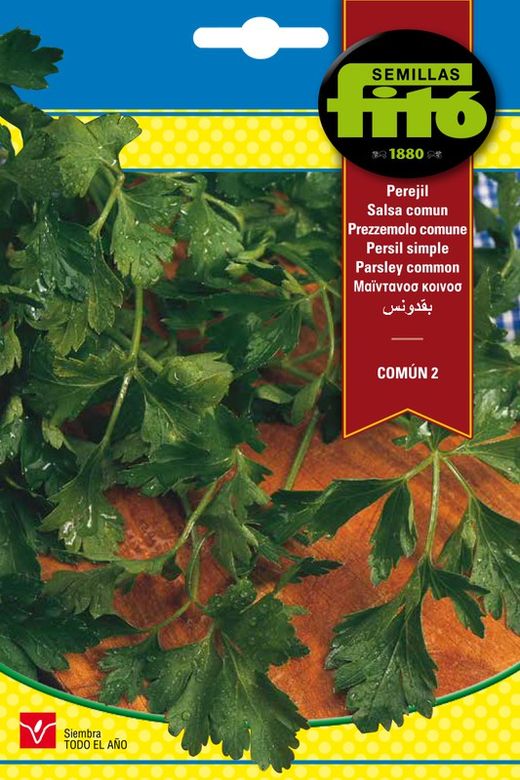 Graines de Persil Commun de Smooth Leaf de marque Fito