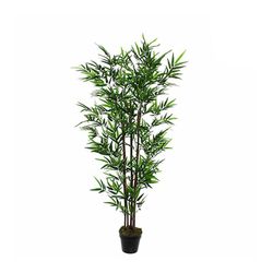 Planta de Bambu Artificial Com Vaso Ø65x165cm