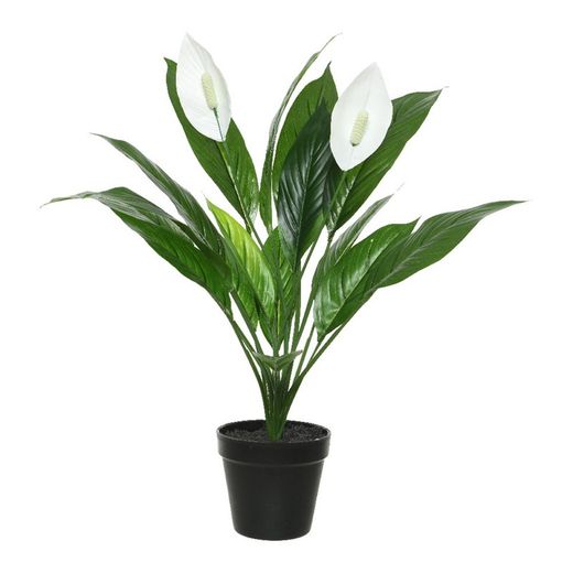 Planta artificial Spatiphyllum