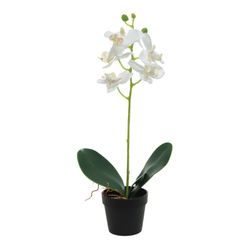 Plante artificielle orchidée blanche