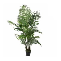 Planta Artificial Palmeira Areca Com Vaso Ø80x160cm