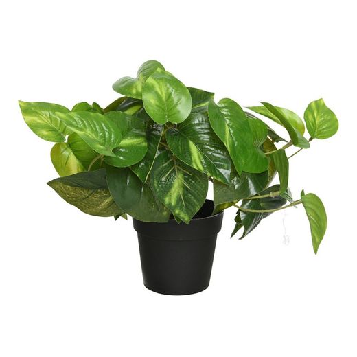 Plante potus artificielle