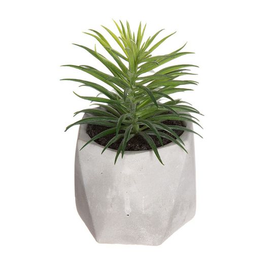 Planta decorativa con maceta 7x14cm modelos suritdos