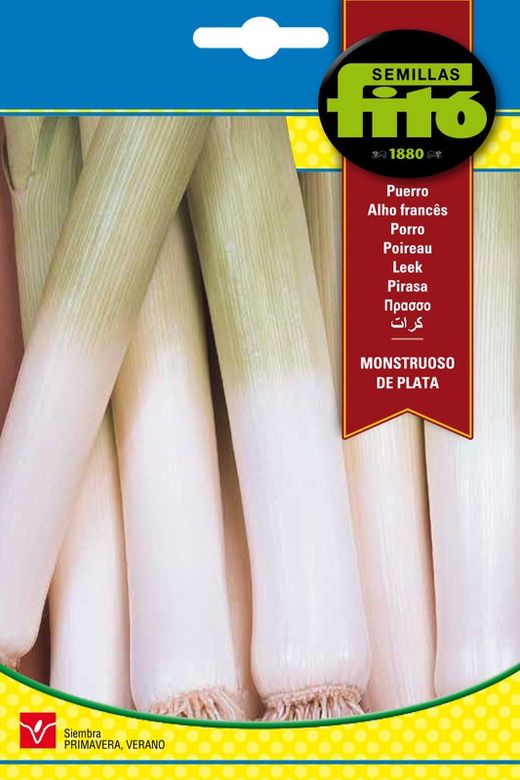 Silver Monster Leek Seeds de la marque Fito