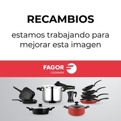 Recambio chimenea 4l/6l/8l para modelo duo y rapid express fagor