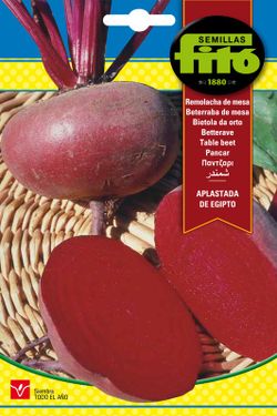 Semillas de Remolacha de Mesa Aplastada de Egipto de marca Fito