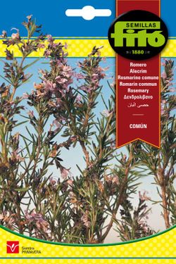 Graines de romarin commun de la marque Fito