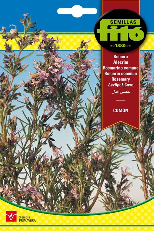Graines de romarin commun de la marque Fito