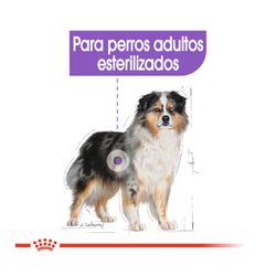 ROYAL CANIN STERILISED 12 KG