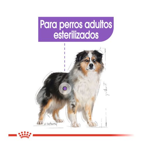 ROYAL CANIN STERILISED 12 KG