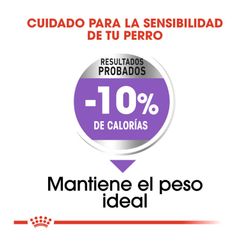 ROYAL CANIN STERILISED 12 KG