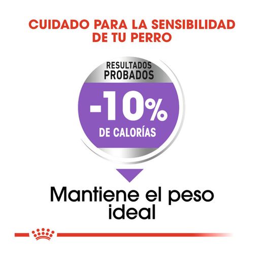 ROYAL CANIN STERILISED 12 KG