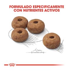 ROYAL CANIN STERILISED 12 KG