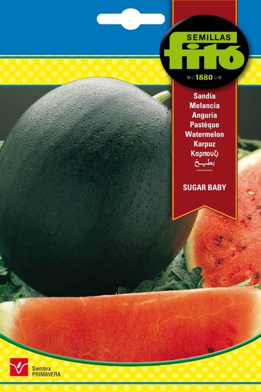 Graines de pastèque Sugar Baby de la marque Fito