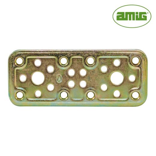 S.Of. Placa 500-120x50 Acero Bicromatado (S) Amig