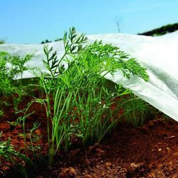 Tissu de Protection pour Cultures-Enrouleur 2x20m 17gr/M² Biotop Garden