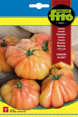 Sementes de tomate bovino da marca Fito