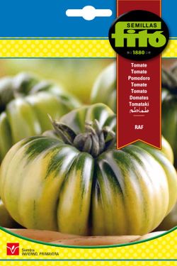 RAF Tomato Seeds da marca Fito