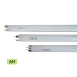 Tube Fluorescent 18w Triphosphore 865k Belight