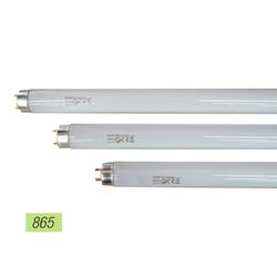 Tubo Fluorescente 36w Trifósforo 865k Belight