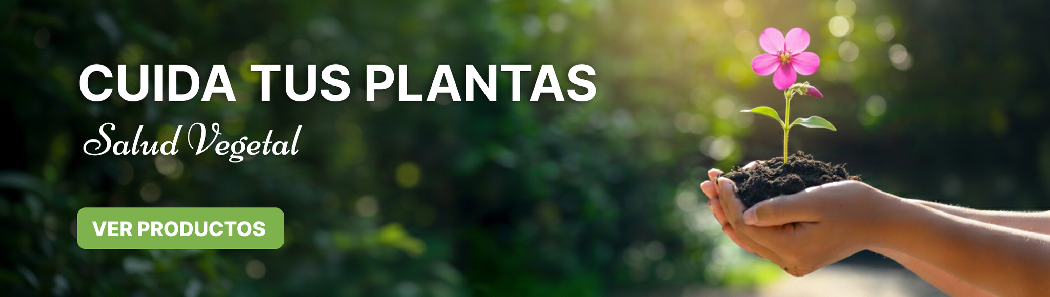 Cuida tus planas