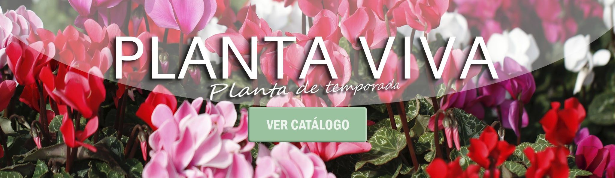 Planta Viva
